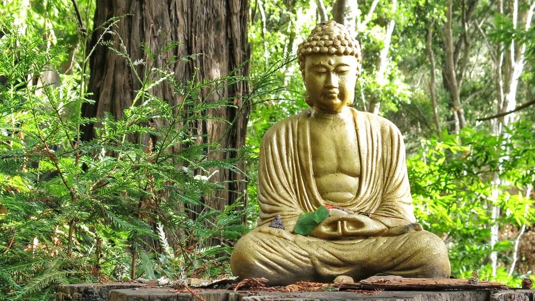 What's on this week at Land of Medicine Buddha