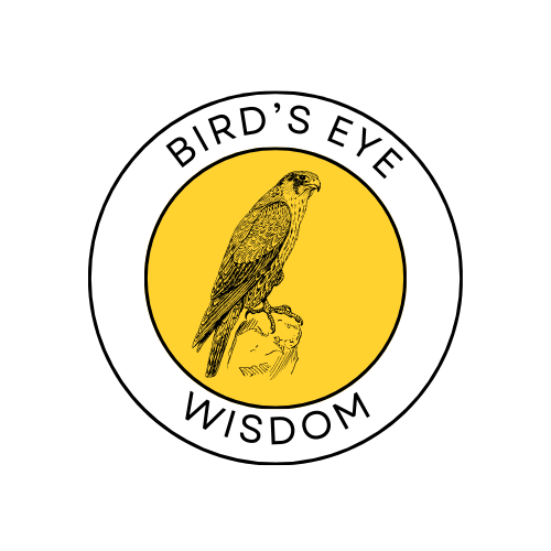 Birds-Eye.png