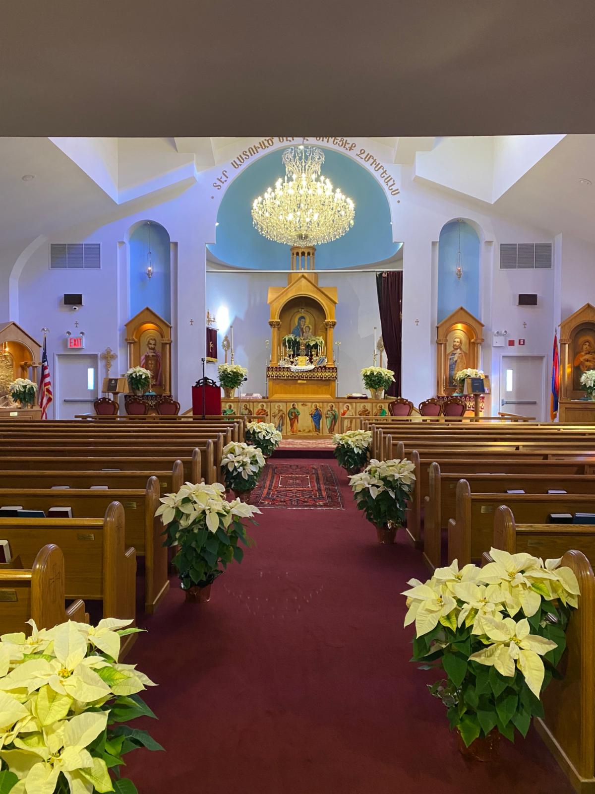 51365577-4415-4ffd-88b8-b097f7d15203 image