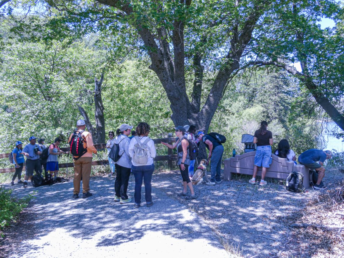 Group on a break under the trees