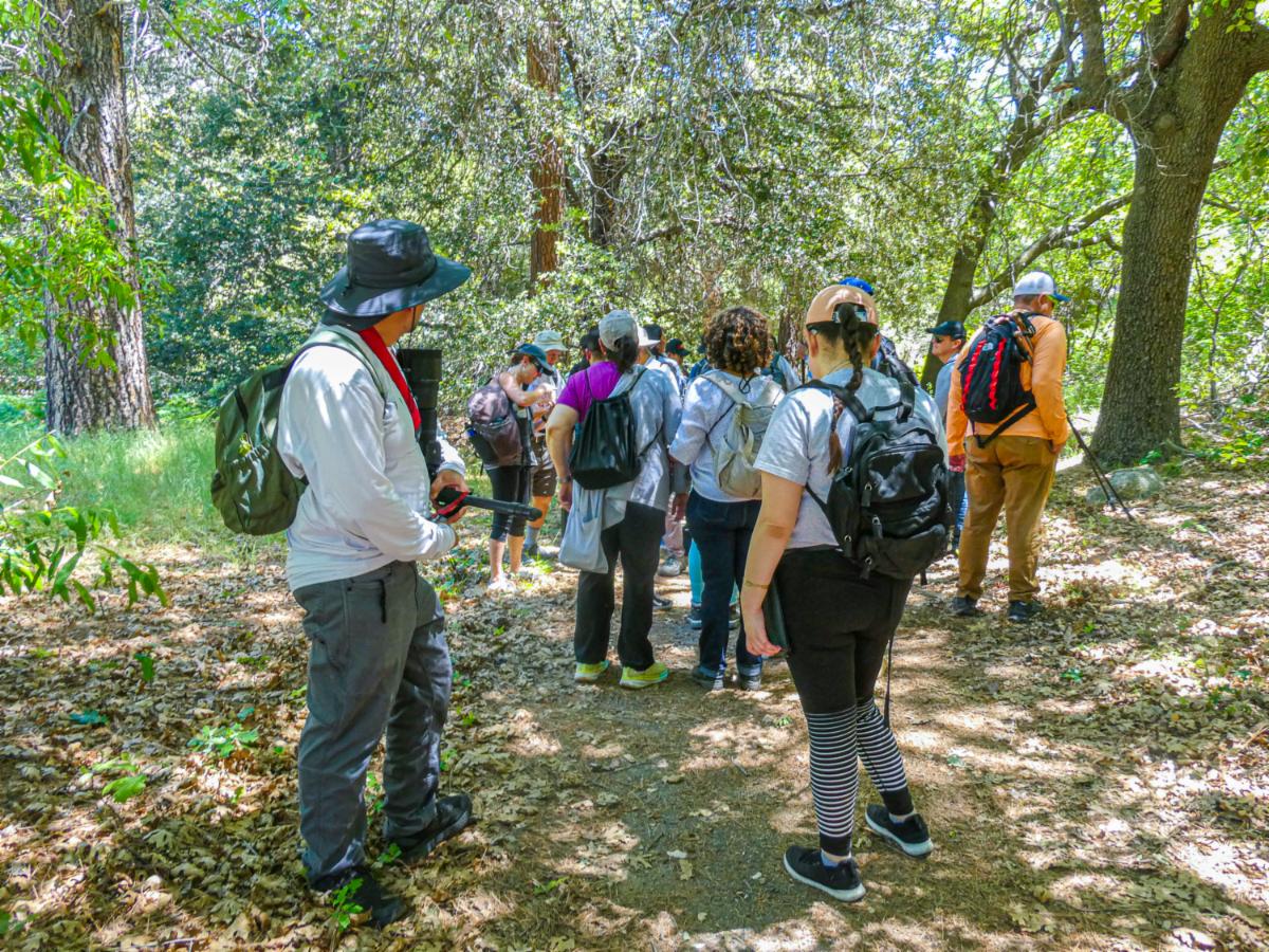 Hikers with backpacks walking on a trail, viewed from behind