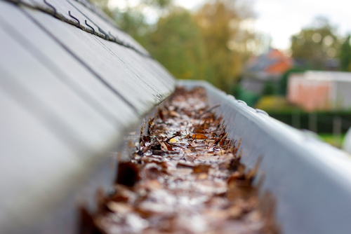 A portrait of inside of a clogged roof gutter filled with water and autumn leaves. The water cannot run away_ this is a typical chore in or after autumn when all leaves have fallen.