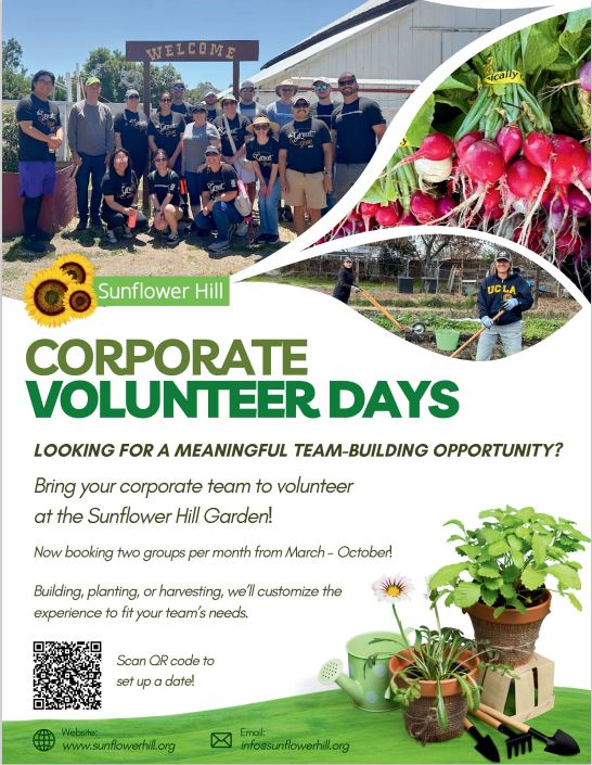 Sunflower Hill - Corporate Volunteer Days