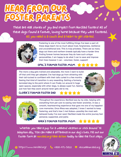 NORSLED - Hear from Our Foster Parents