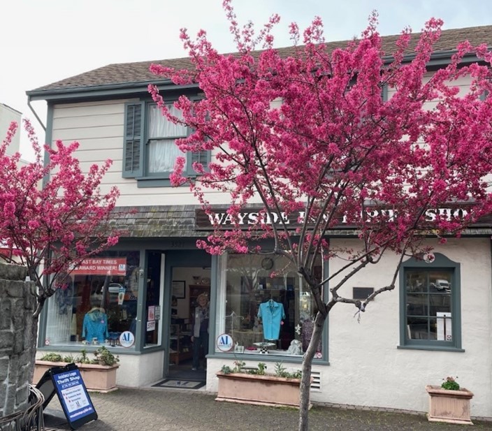 Wayside Thrift Shop