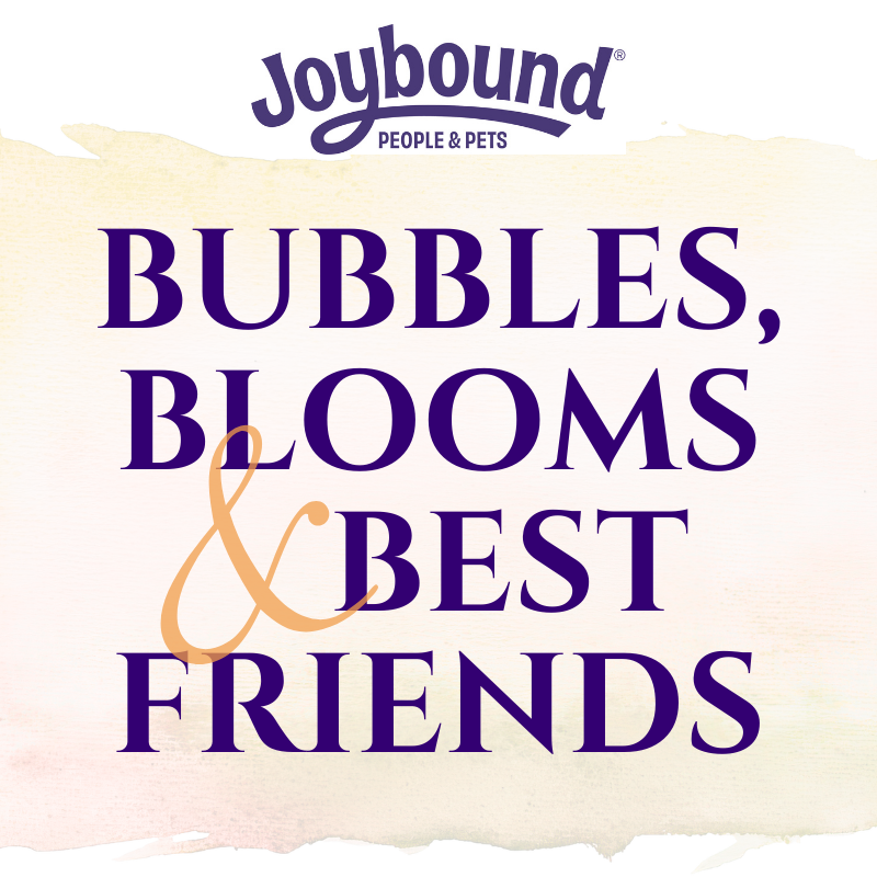 Joybound People and Pets