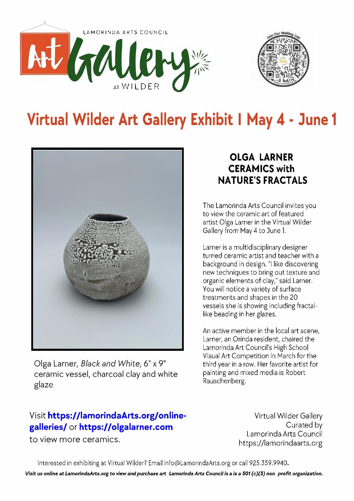 Virtual Wilder Gallery: Olga Larner – Ceramics with Nature’s Fractals