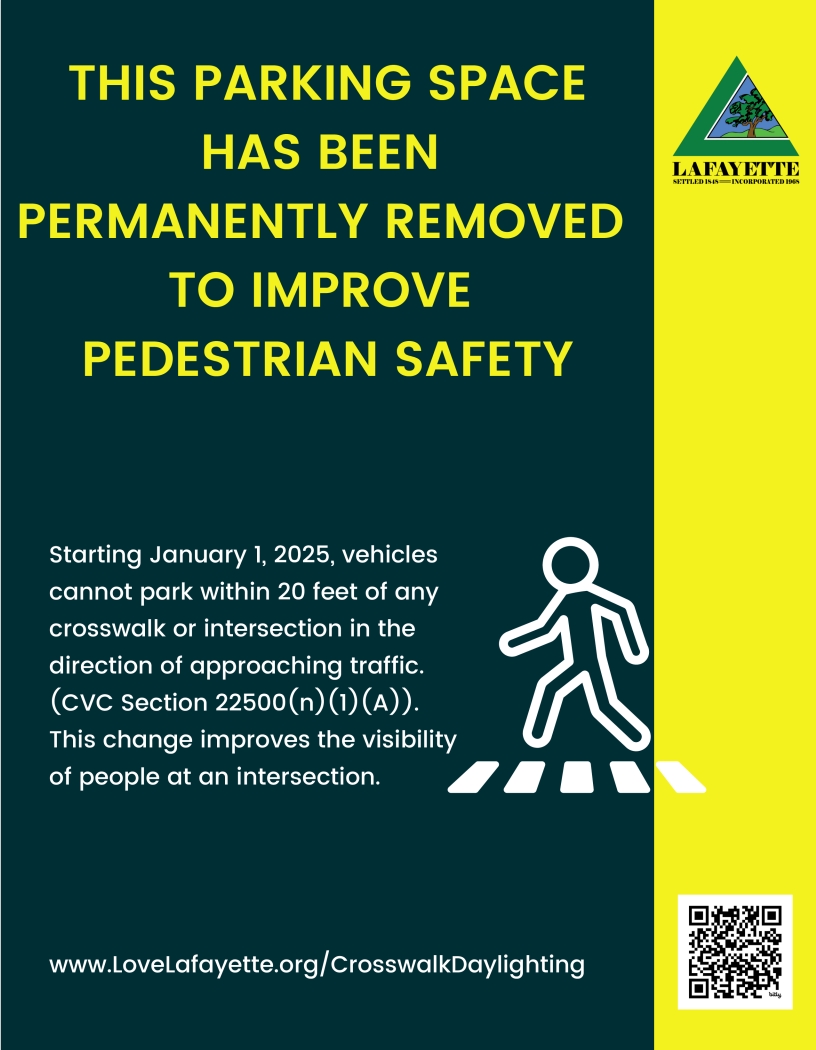 Pedestrian Safety