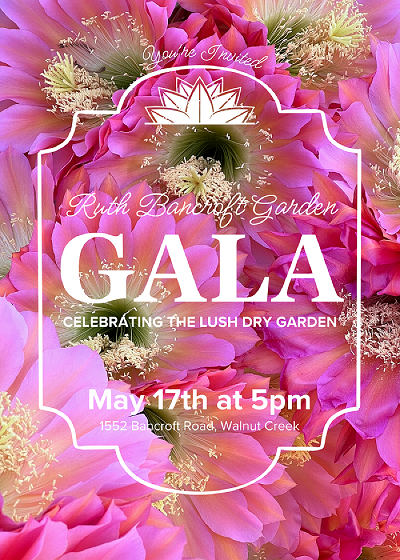 Ruth Bancroft Garden Gala, May 17, 2025
