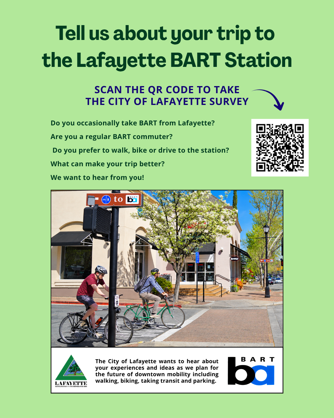 BART Access Survey
