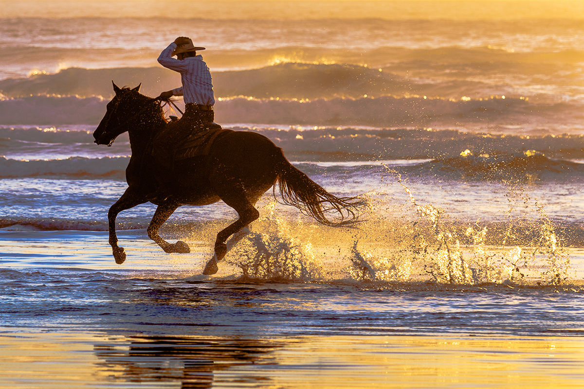 Cowboy Riding the Surf by Marilyn-Verducci