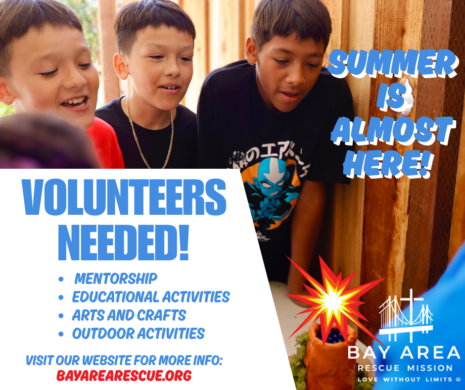 Bay Area Rescue - Volunteers Needed