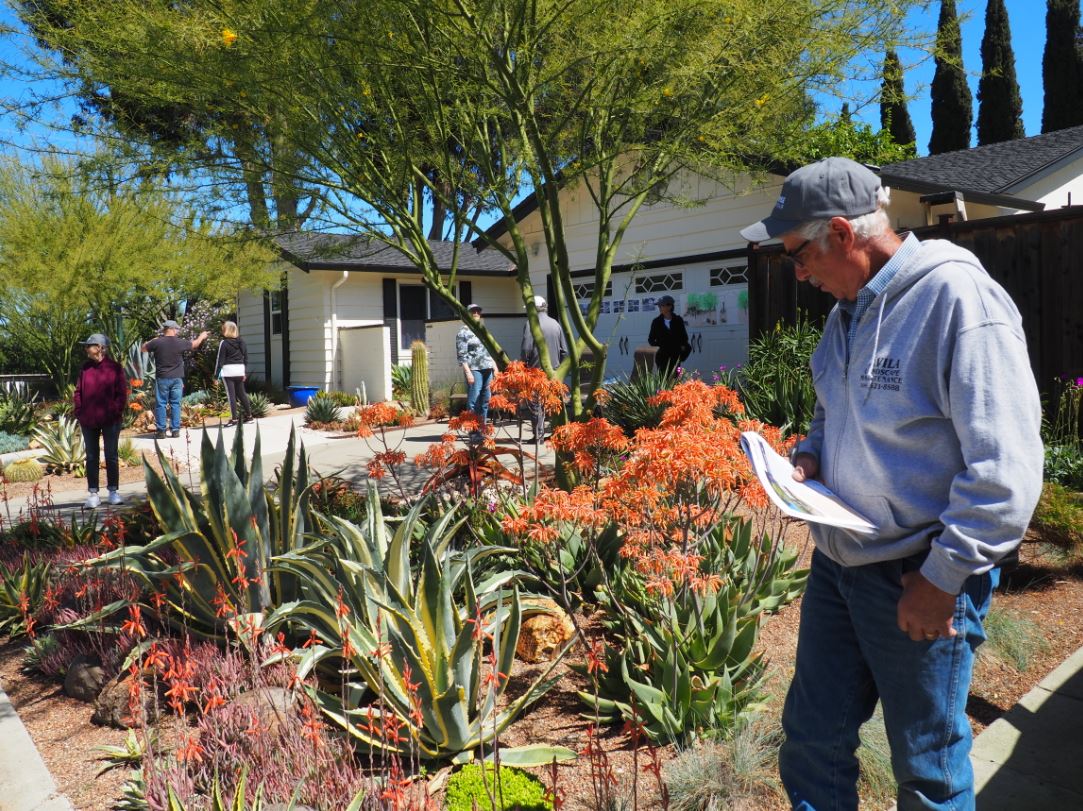 Ruth Bancroft Garden & Nursery