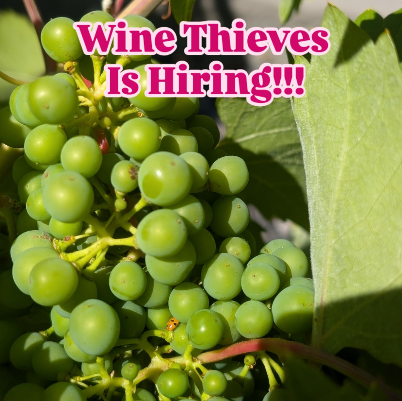 Wine Thieves is Hiring