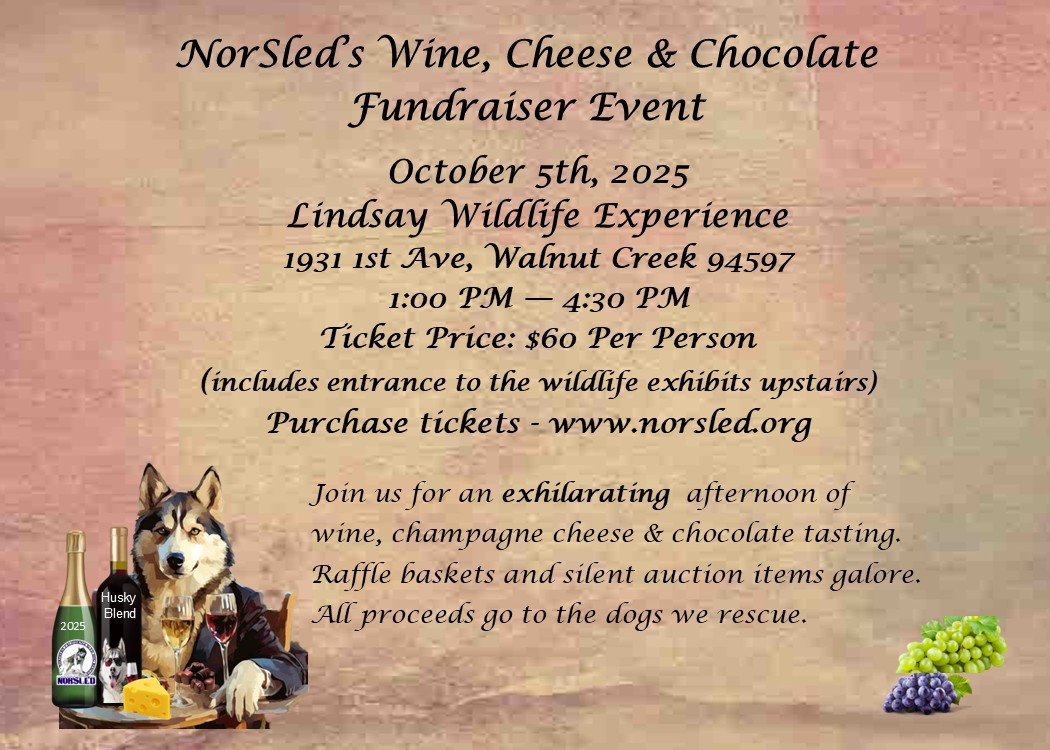 Norsled - Wine Cheese and Chocolate Event