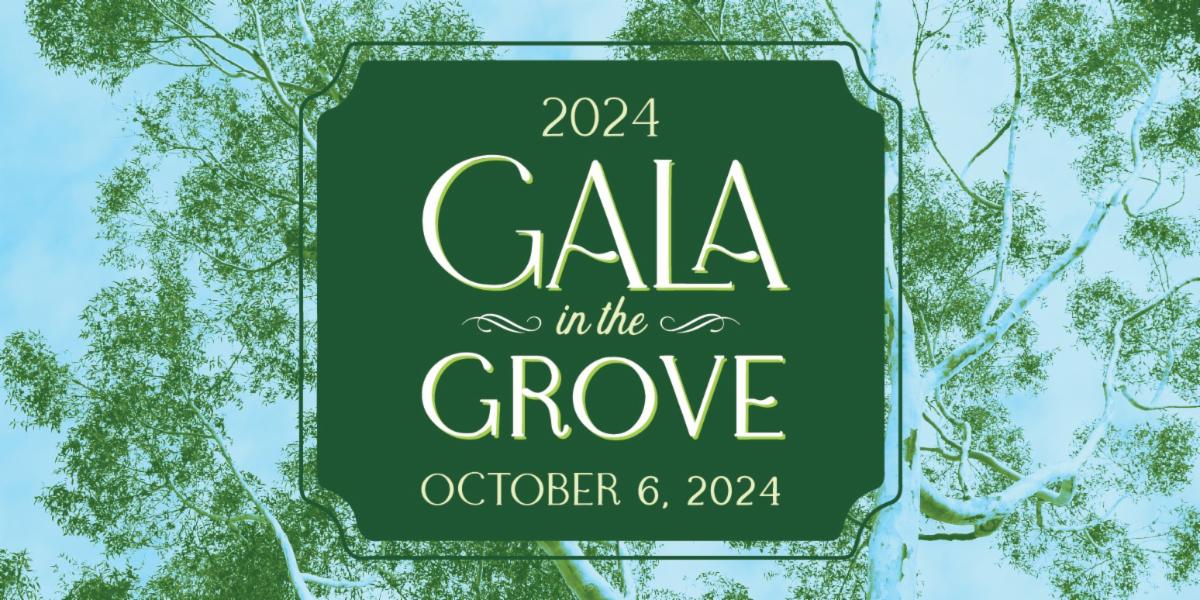 Gala in the Grove
