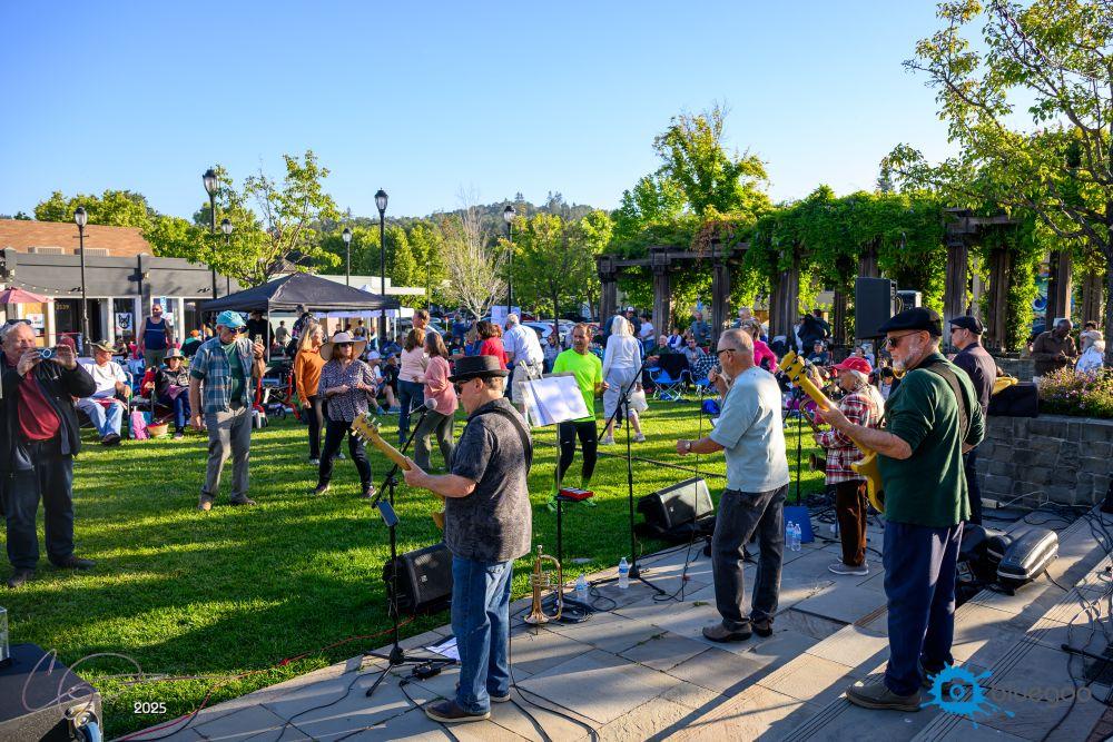 Juke Joint at Rock the Plaza 2025