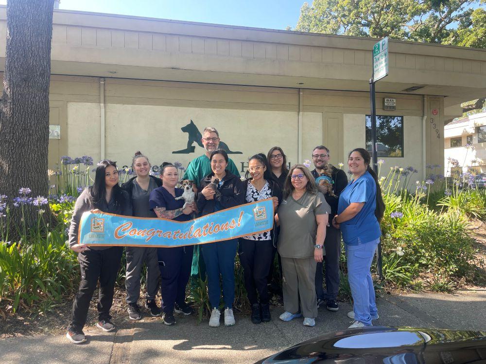 Lafayette Animal Hospital