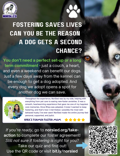 NorSled - Fostering Saves Lives