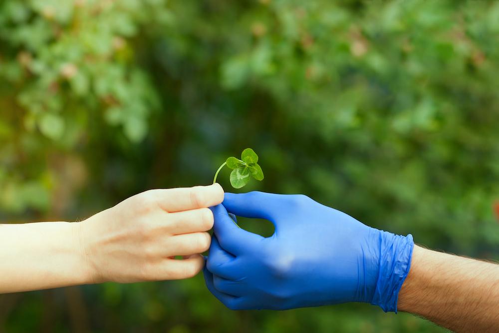surgical glove and four leaf clover