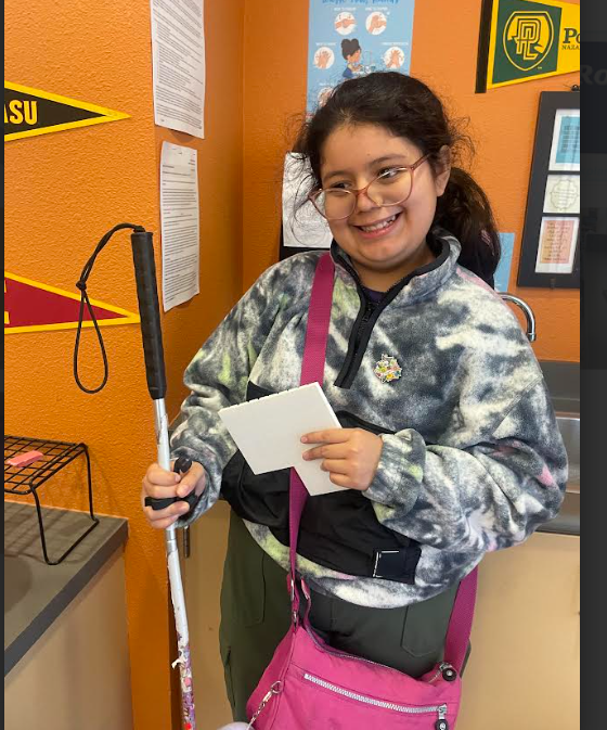 Student at the LVIC center