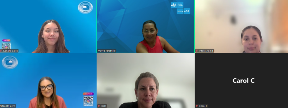 A zoom screenshot showing participants in our virtual Summer Parent IEP Academy