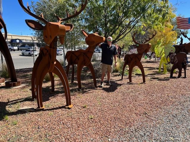 White Tail Deer - 3