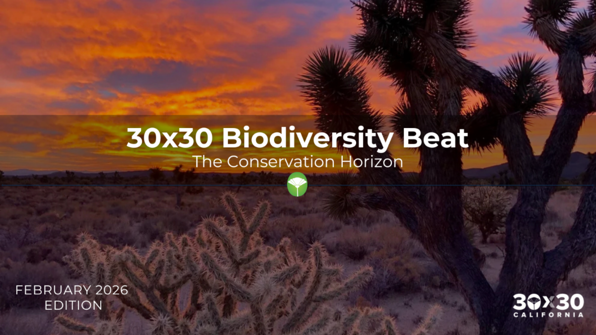 30x30 Biodiversity Beat – The Conservation Horizon