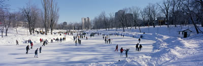 ice-skating-pond-sm.jpg