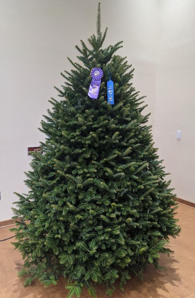 NCCTA Summer Meeting