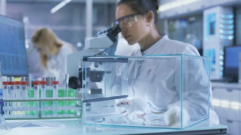 Upcoming Webinars: The Immune System in Autism | Ultra-processed Foods ...