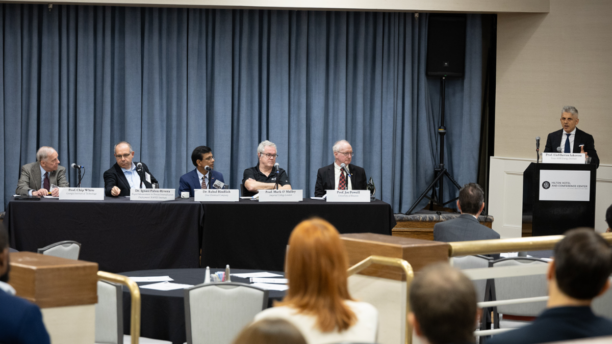 A panel of distinguished energy experts presents their perspectives on the future of energy systems