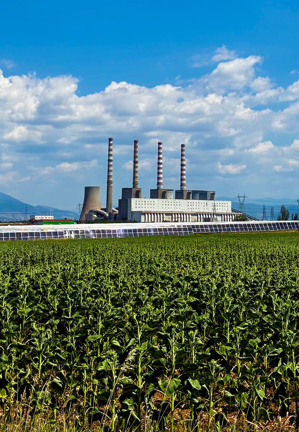 Carbon Dioxide Capture and Sequestration System Illustration