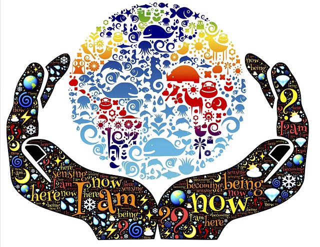 be-gc23a3f5a5_640.jpg