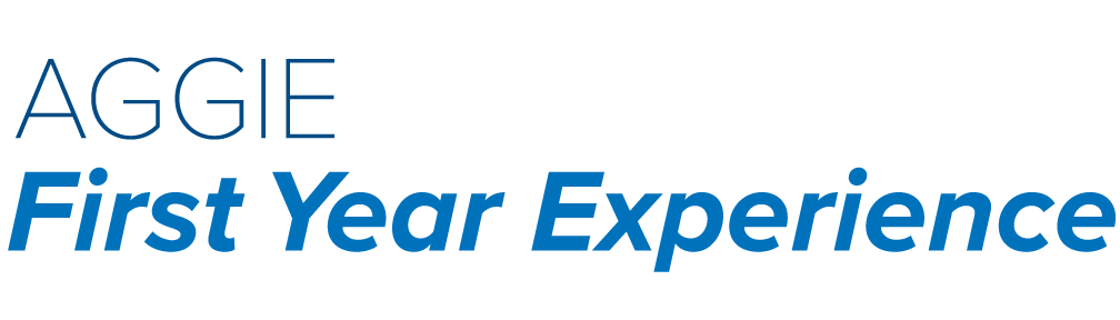 First Year Experience Brand