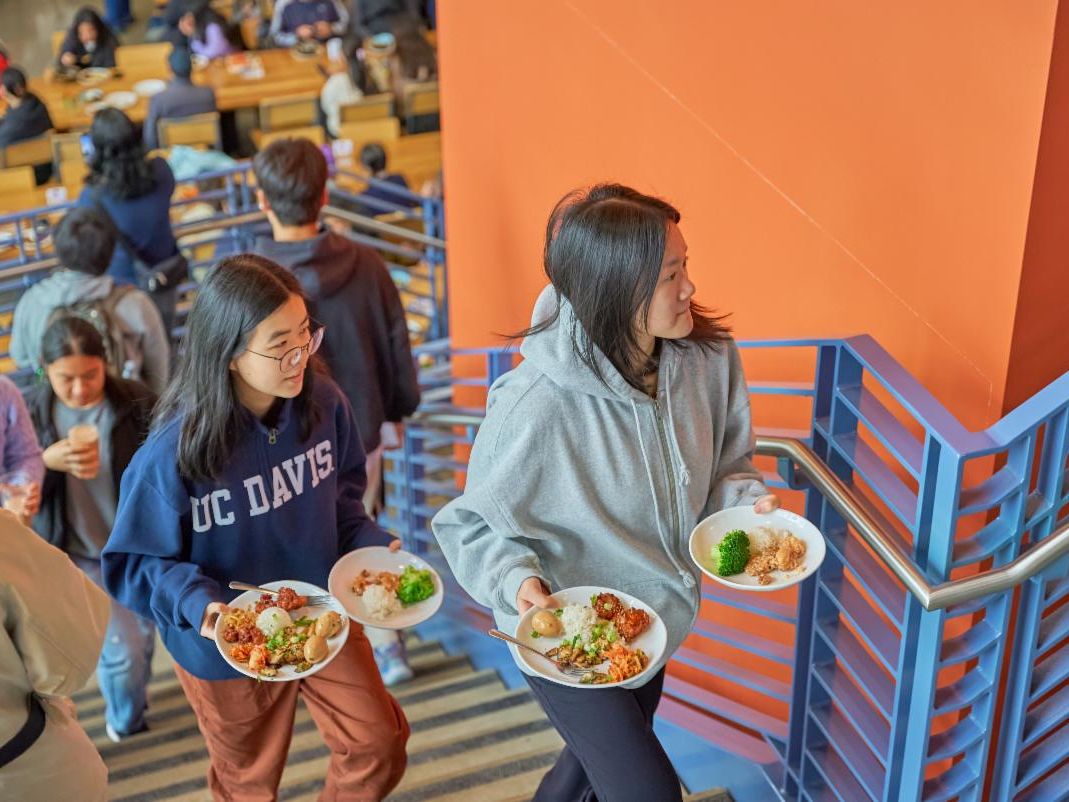 Students walking up the stairs carrying dishes of food
