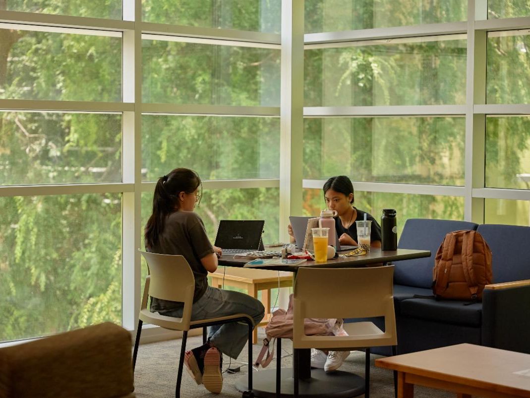 Two women studying at a table in front of windows with laptops and books.