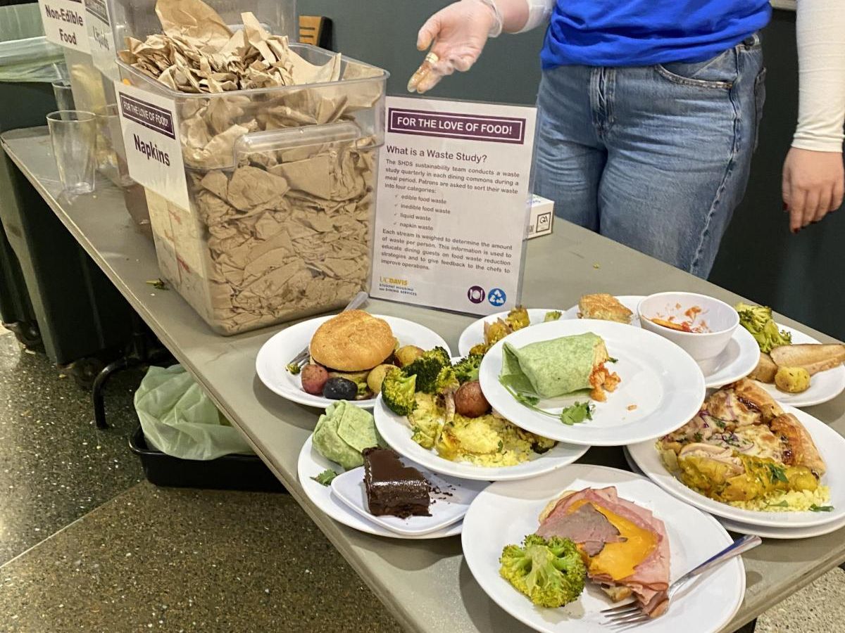Display table with food waste collected from previous waste study