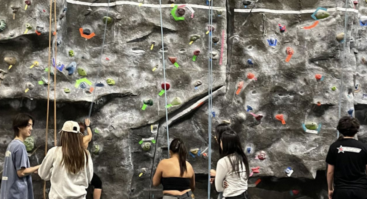 Image of students at the ARC Rock Wall. 