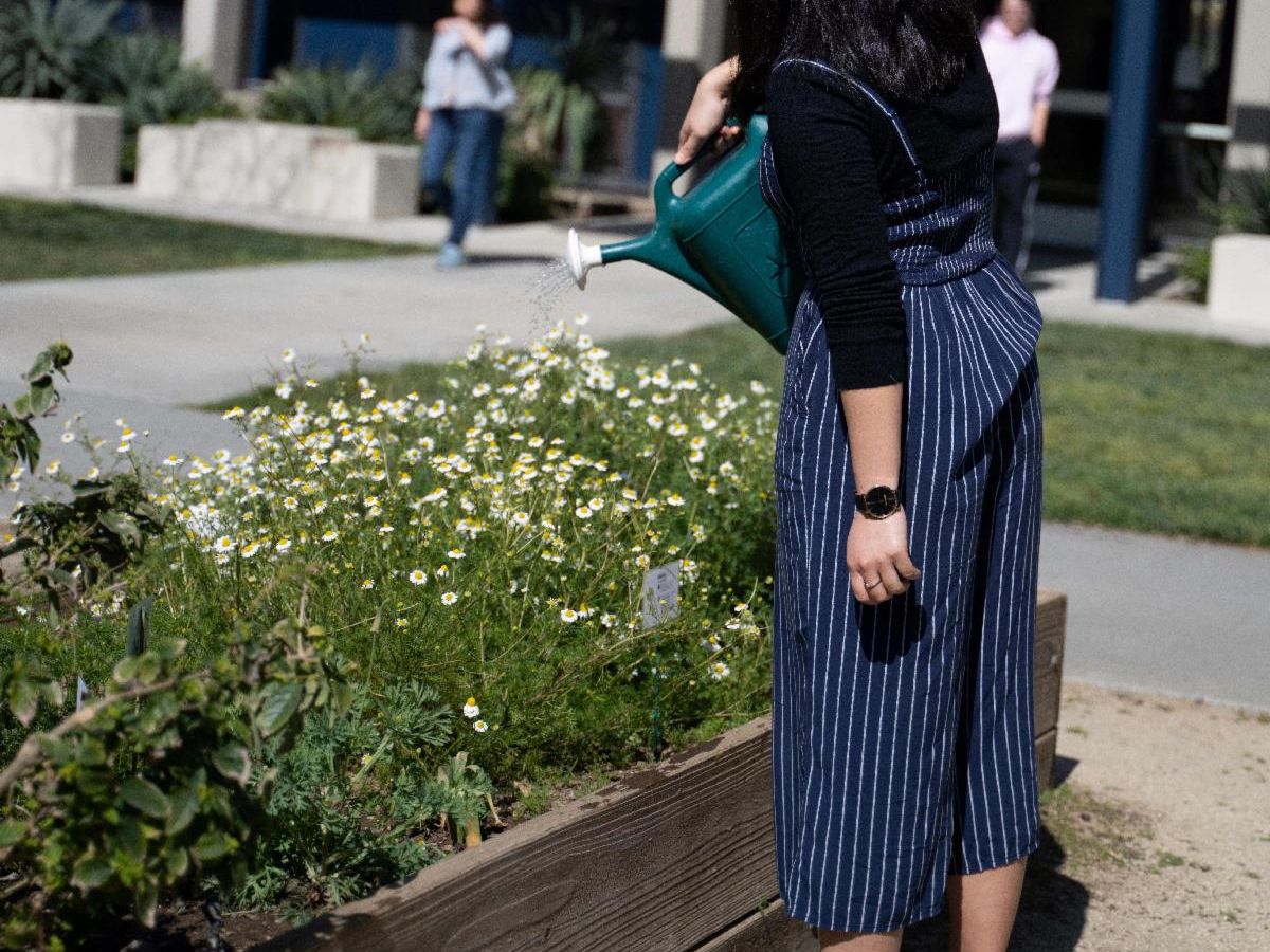 A woman watering some flowers.