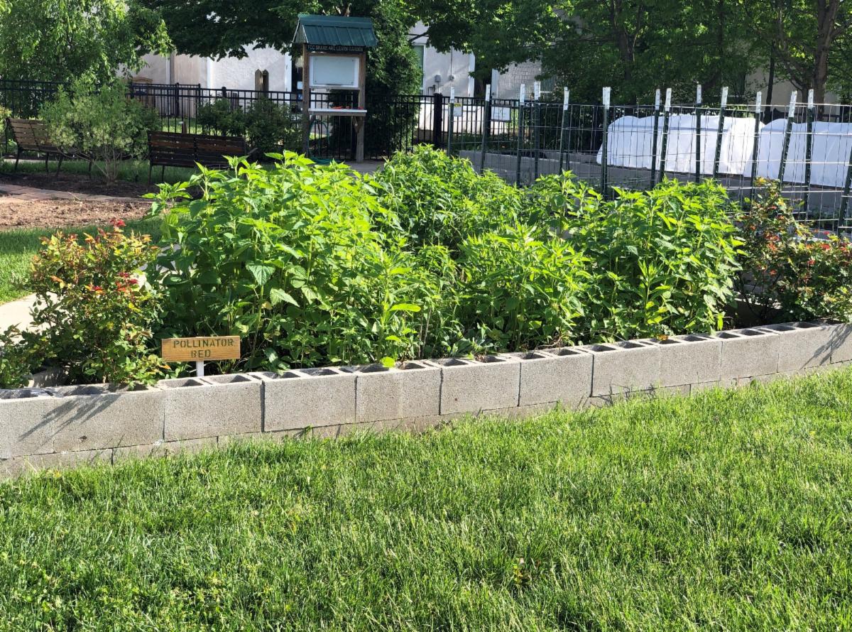 PollinatorBed.jpg