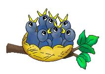 Bird Nest Warning
