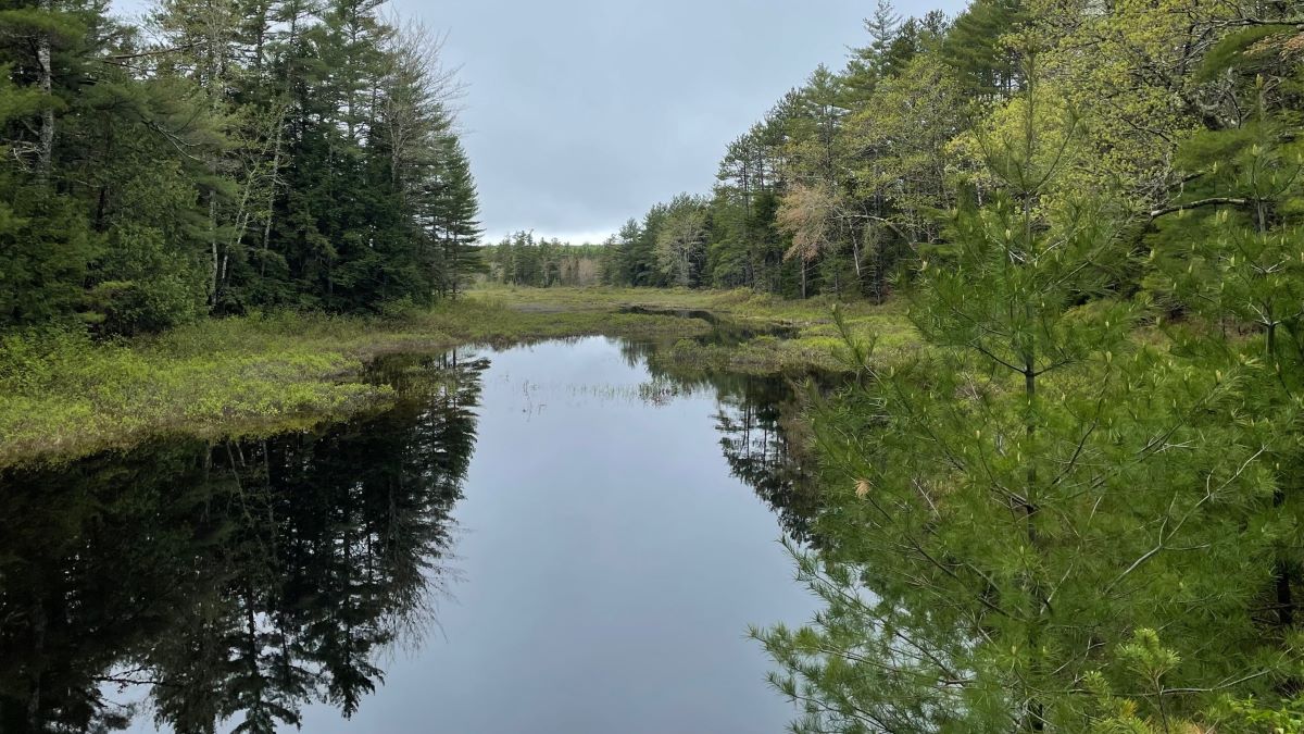 Vulnerable people may be at risk in Maine's parttime probate courts