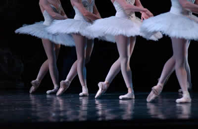 ballet-line-tutus.jpg