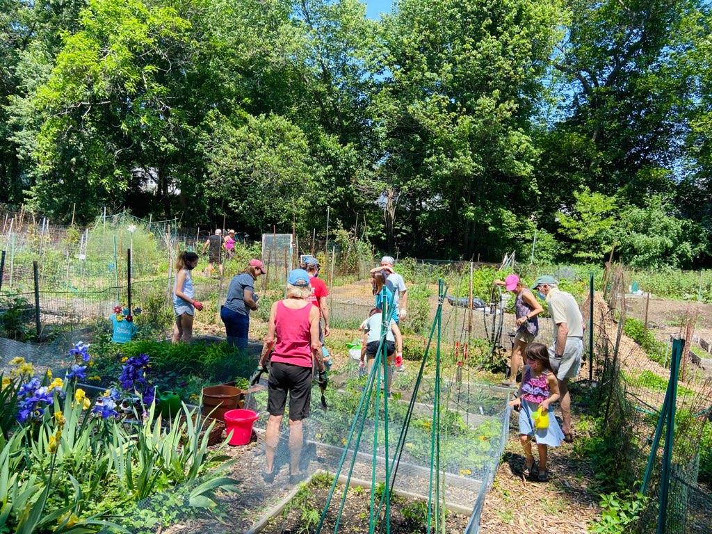Celebration Sunday Garden