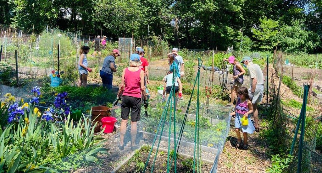 Celebration Sunday Garden