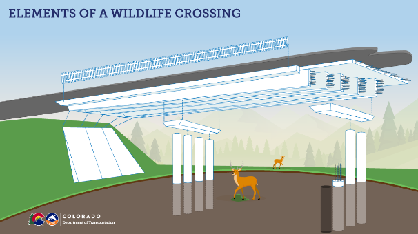 Rendering of wildlife overpass by CDOT.