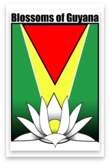 Group-64.png