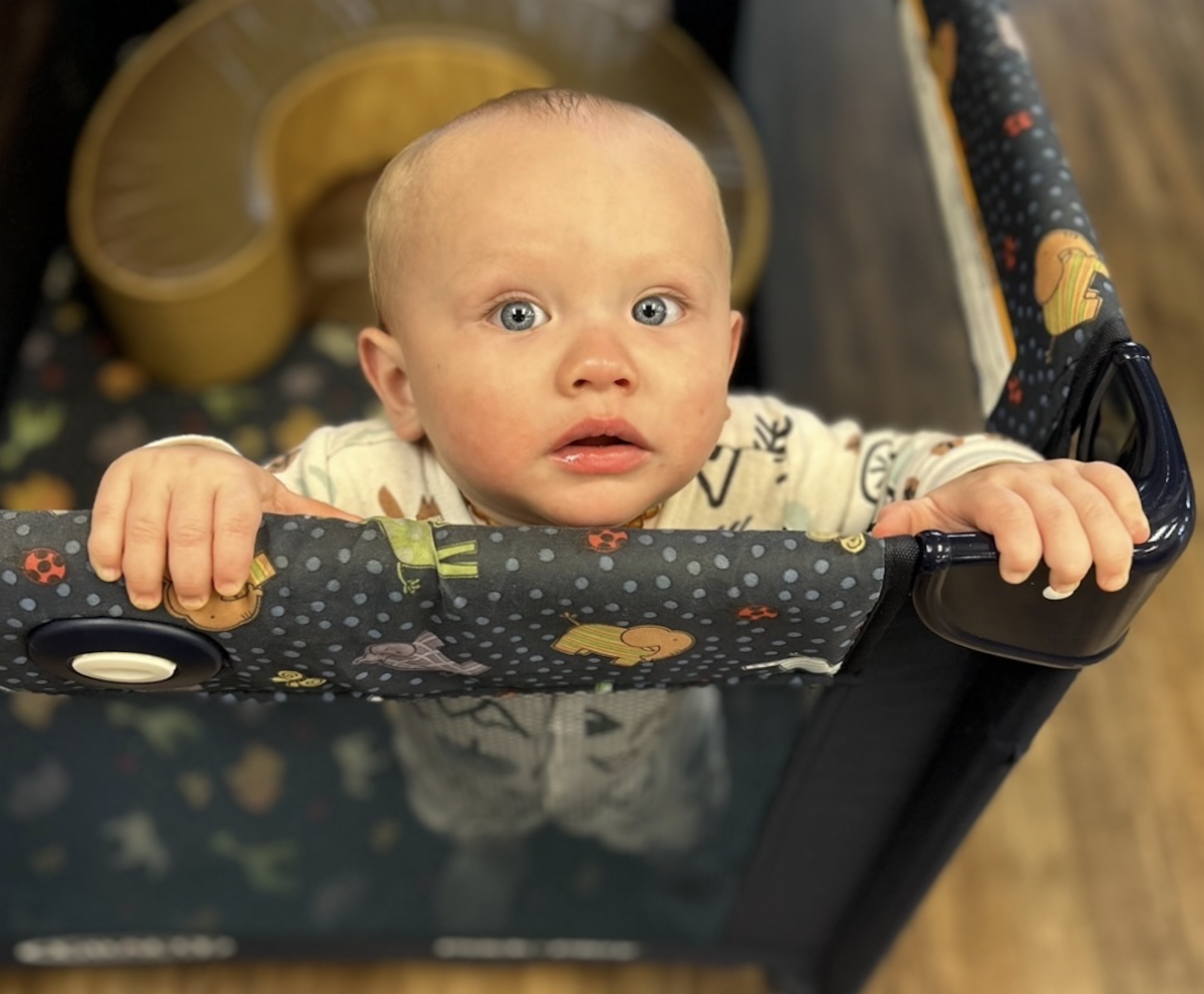 What is Happening at Infant Crisis Services?