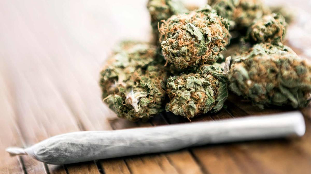 Cannabis joint and cannabis flowers on a table.